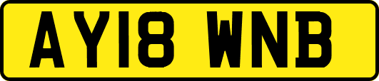 AY18WNB
