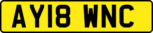 AY18WNC