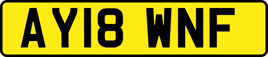 AY18WNF