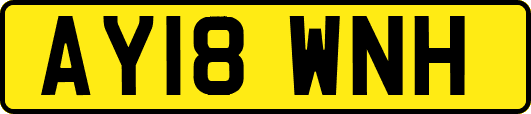 AY18WNH