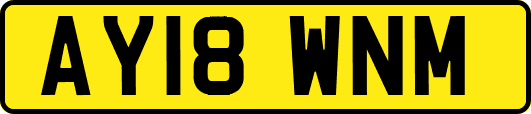 AY18WNM