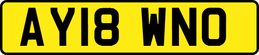 AY18WNO