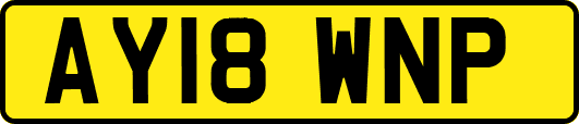 AY18WNP