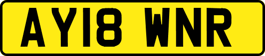 AY18WNR