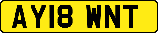 AY18WNT