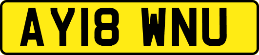 AY18WNU