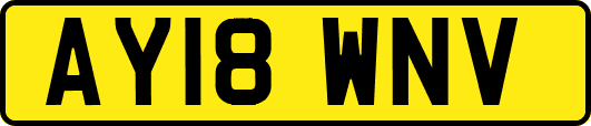 AY18WNV