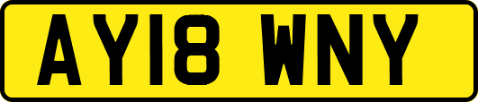 AY18WNY