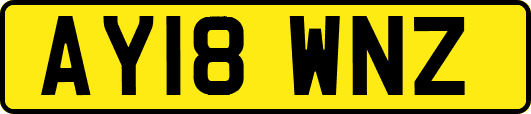 AY18WNZ