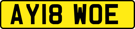 AY18WOE