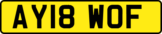 AY18WOF