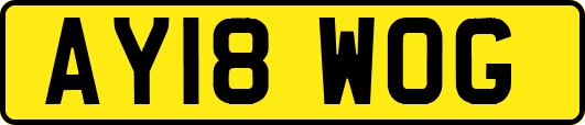 AY18WOG