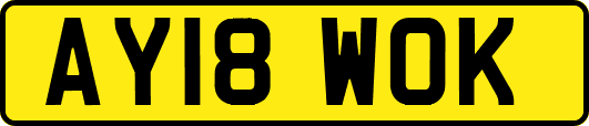 AY18WOK