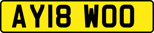 AY18WOO