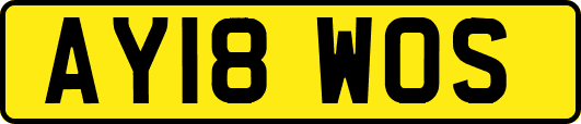 AY18WOS