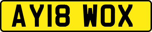 AY18WOX