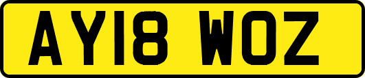 AY18WOZ