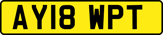 AY18WPT