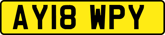 AY18WPY