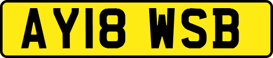 AY18WSB