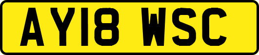 AY18WSC