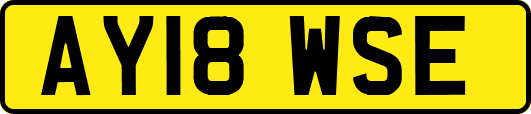 AY18WSE
