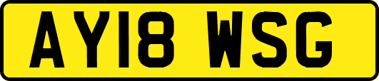AY18WSG