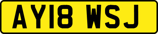 AY18WSJ