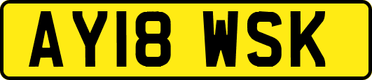AY18WSK