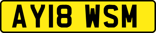 AY18WSM