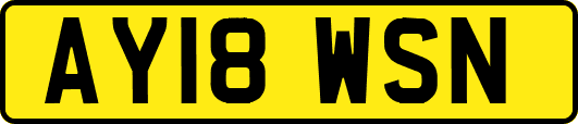 AY18WSN