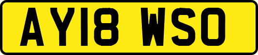 AY18WSO