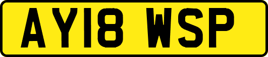 AY18WSP