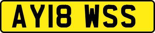 AY18WSS