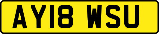 AY18WSU