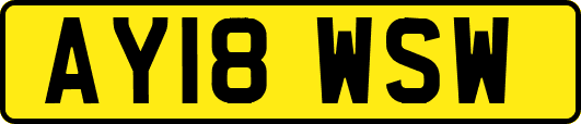 AY18WSW