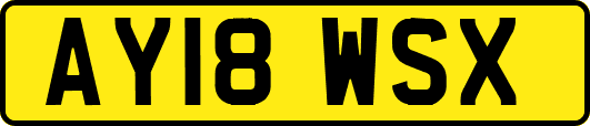 AY18WSX