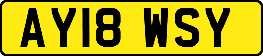 AY18WSY