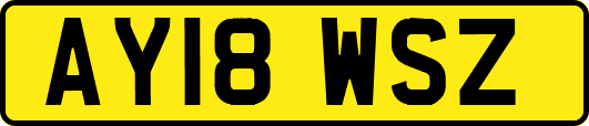 AY18WSZ