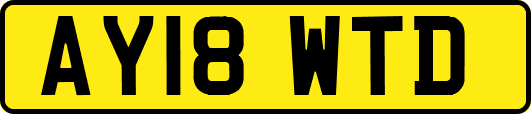 AY18WTD