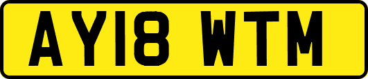 AY18WTM