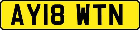AY18WTN