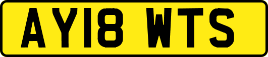 AY18WTS