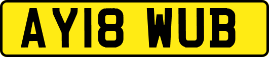 AY18WUB