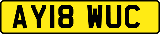 AY18WUC