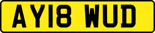AY18WUD