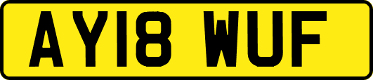 AY18WUF