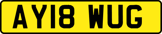 AY18WUG