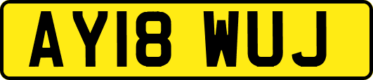 AY18WUJ