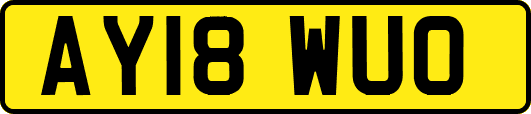 AY18WUO